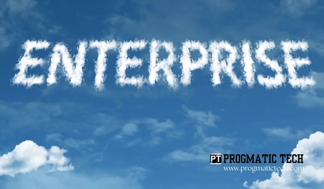 Definition Of An Enterprise System​